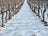 Geht auch Weißwein im Winter? – Das Weinregal für die kalten Tage bestücken