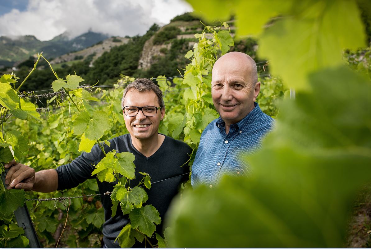 Weingut Jean-René Germanier