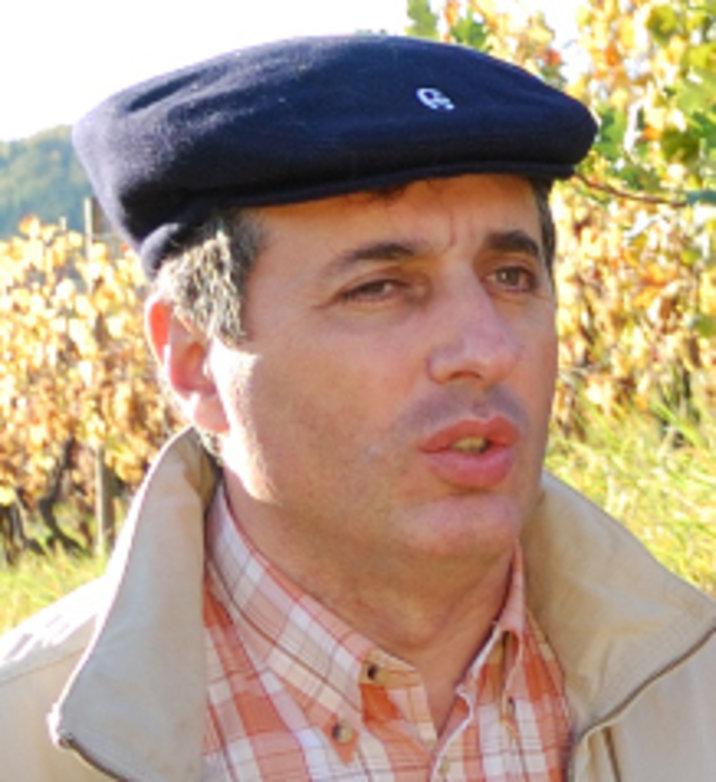 Domaine Remy Gresser