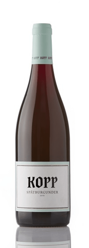 Weingut Kopp - Pinot Noir Gutswein - 2022
